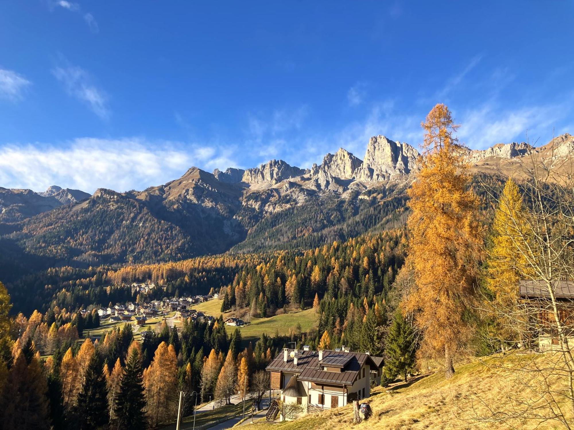 Appartamento Dolomiti Dream 1 Falcade Exterior foto